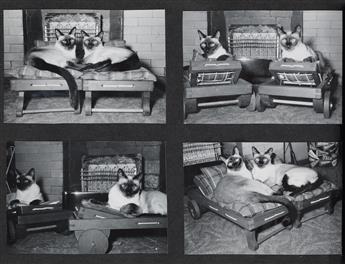(SIAMESE CATS) An album with approximately 132 obsessive photographs depicting the owners feline friends in various poses and activiti